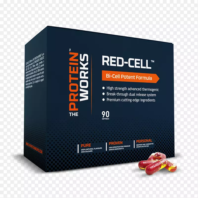 蛋白质作用于膳食补充剂红细胞营养-标志蛋白乳。