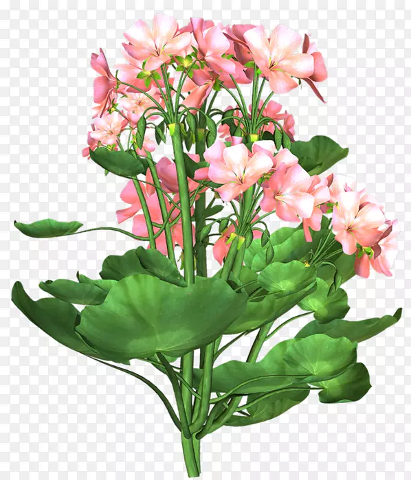 花卉设计剪花，百合花，印加花束-花束