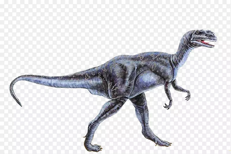 伶盗龙-K3恐龙化石