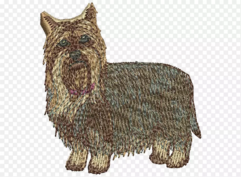 诺维奇猎犬，凯恩犬，苏格兰猎犬，稀有犬种(狗)犬种-约克郡犬