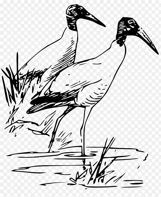 鸟类脊椎动物鸭鸟夹艺术