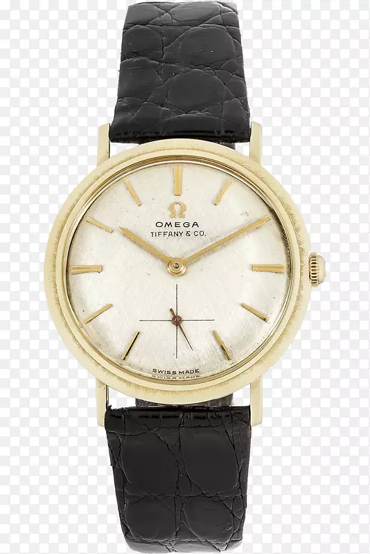 观看亚得里亚欧米加速记表尼克松-手表