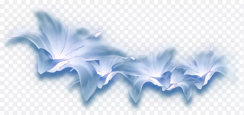 蓝色花瓣花