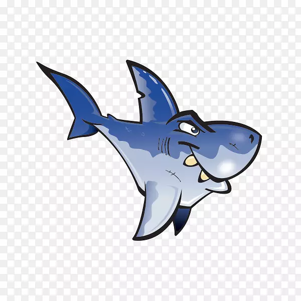 大白鲨牙齿海洋鳍鲨