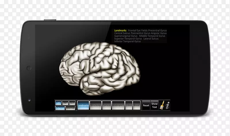 大脑计算机软件声音康普顿出版-大脑