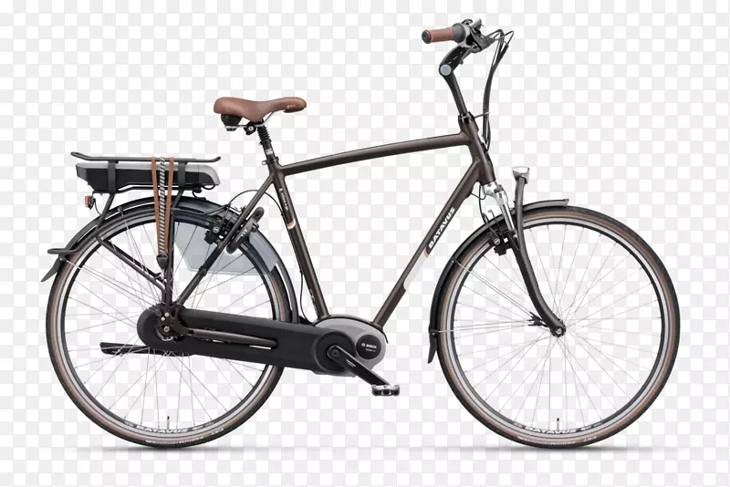 巴塔夫斯电动自行车斯巴达B.V.巨型自行车-自行车