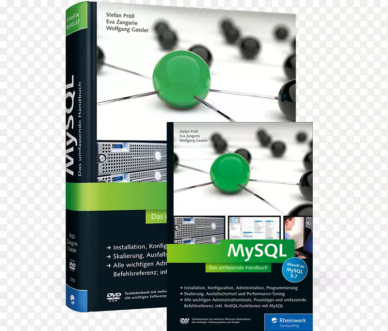 MySQL 5.6：Das umfassende HandBuch；[aktuell zuMySQL 5.6；安装、konfiguration、管理、Programmierung；skalierung，hochverfügbarkeit和性能