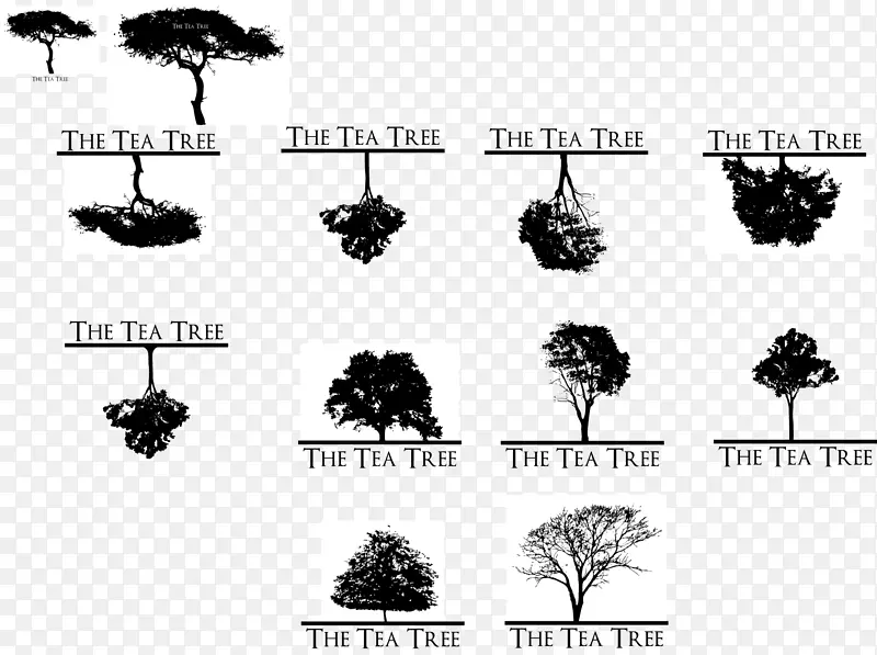 乔木自然剪影槟榔科字体-茶树