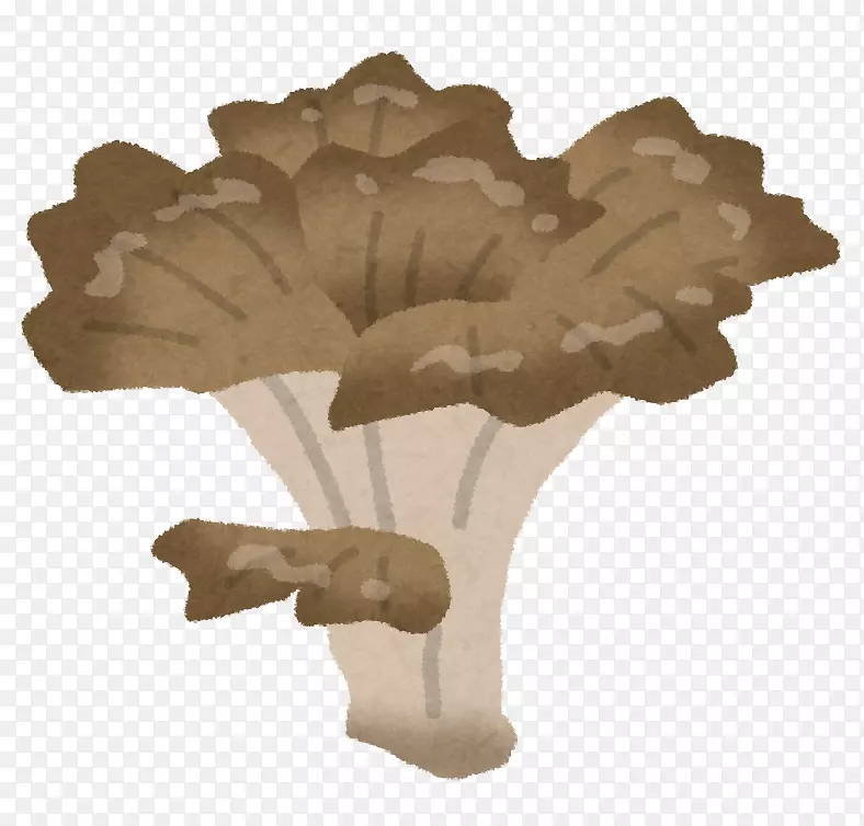 木菇