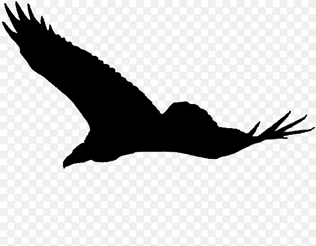 鹰动物群剪影野生动物剪贴画-阿根廷雄伟