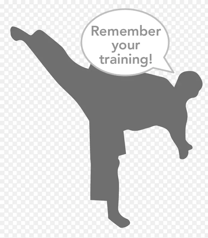 跆拳道踢混合式武术训练-混合武术