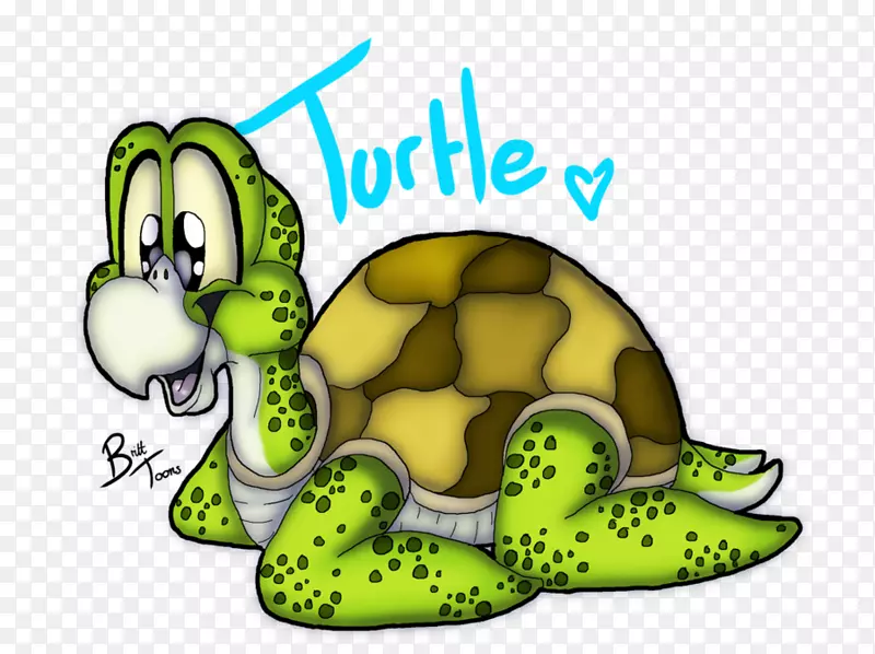 乌龟剪贴画-海龟