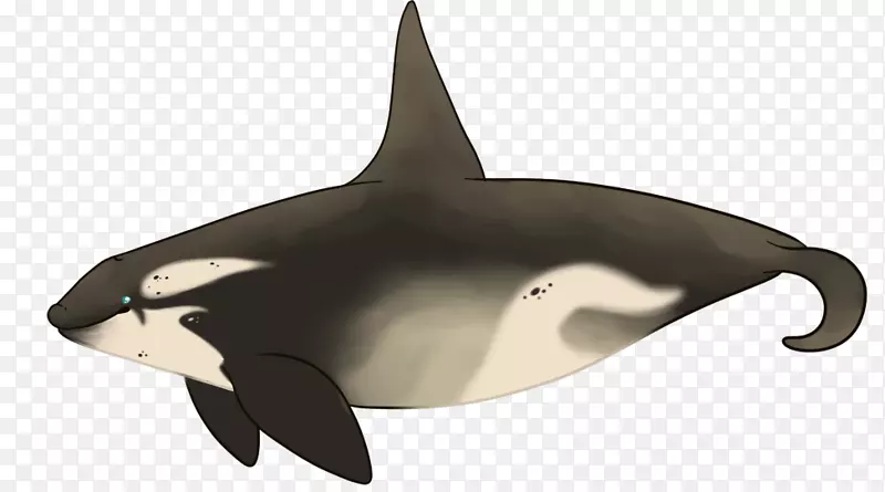 图库溪白喙海豚虎鲸动物群.设计