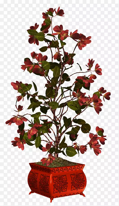 花盆小花花瓶植物-3花红