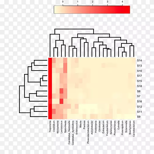 热图微生物聚类分析图树状图