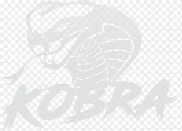 平面设计线艺术素描-Kobra