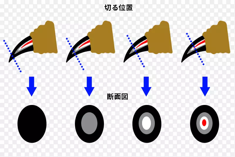 线品牌技术-玩具贵宾犬