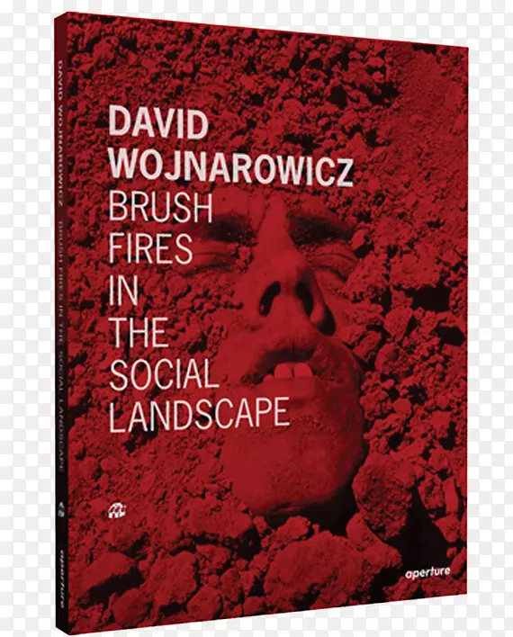 david wojnarowicz：社会风景画中的画火，摄影，野火，国际流行绘画