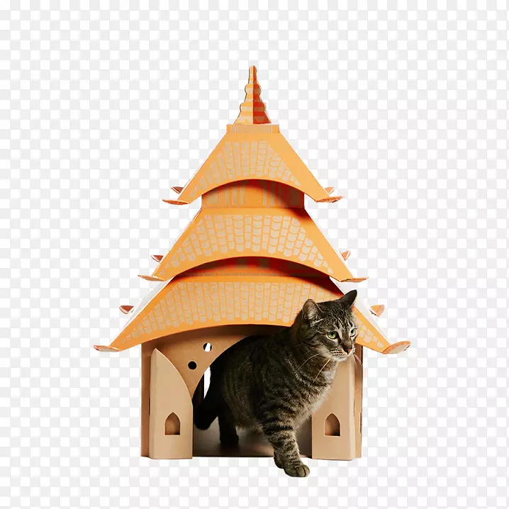 猫纸板住宅用纸建筑-猫