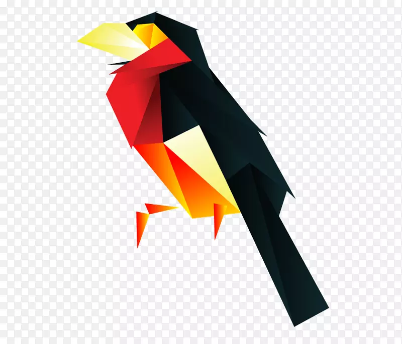 鸟须，日尔曼的孔雀-野鸡-鸟
