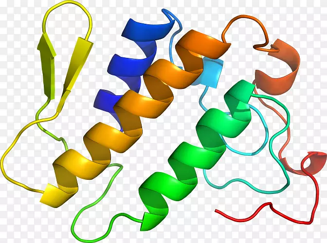 微生物单细胞生物剪贴剂-磷脂酶a2