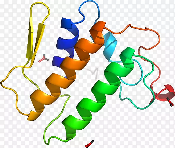 磷脂酶a2有机体剪贴画磷脂酶a2