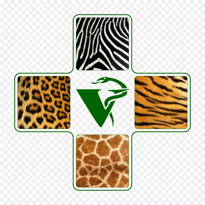 兽医、野生动物、非洲长颈鹿、克拉科夫宠物店、拉布拉多-乐图