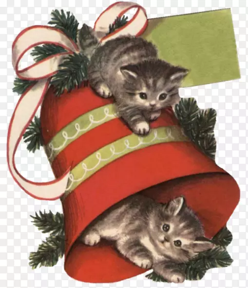 小猫须圣诞装饰品-小猫