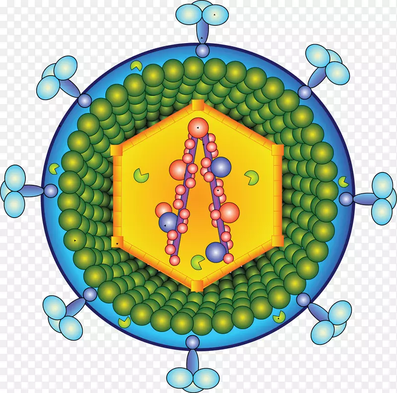 逆转录病毒感染-消毒病毒细胞