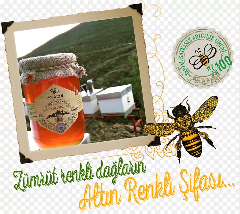 蜜蜂养蜂食品-蜂蜜