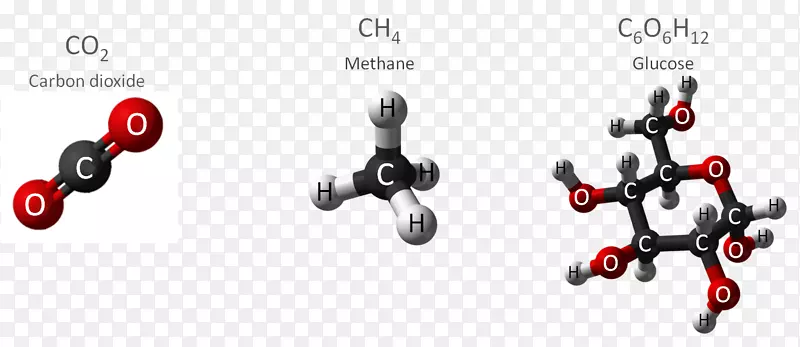 生物载脂蛋白e化合物碳化学化合物-化合物