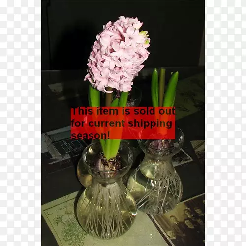 花卉设计花瓶人工花卉开花植物花瓶
