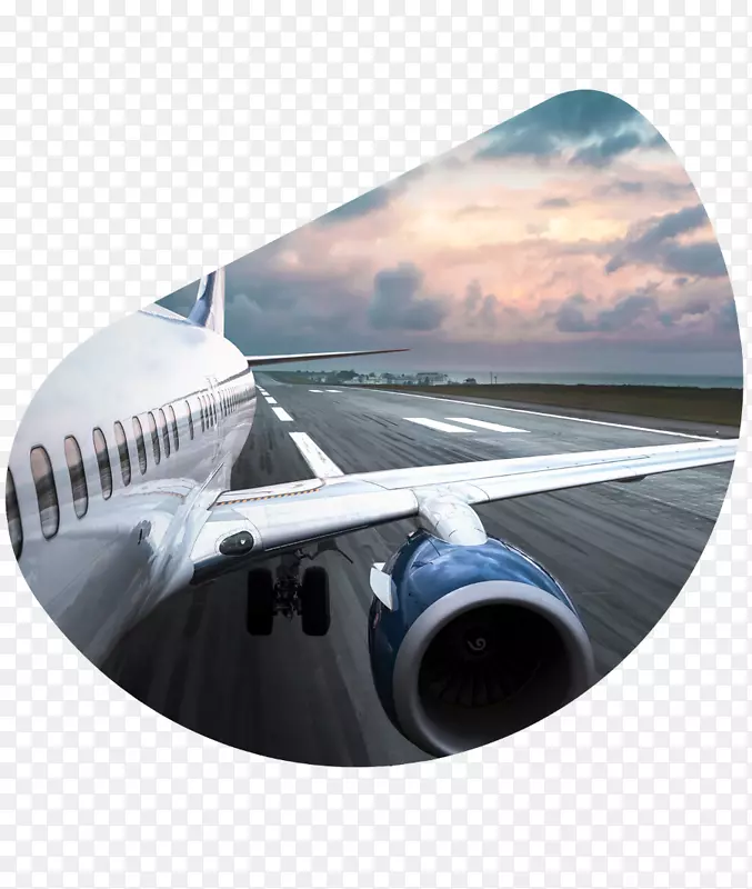 Amadeus it集团Leidos旅游商务航空旅行