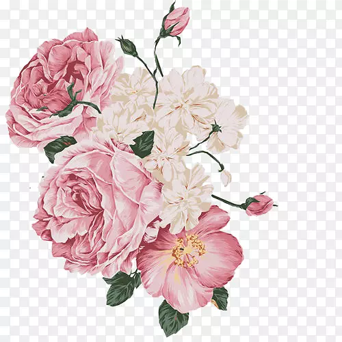 玫瑰花设计粉红脱钩玫瑰