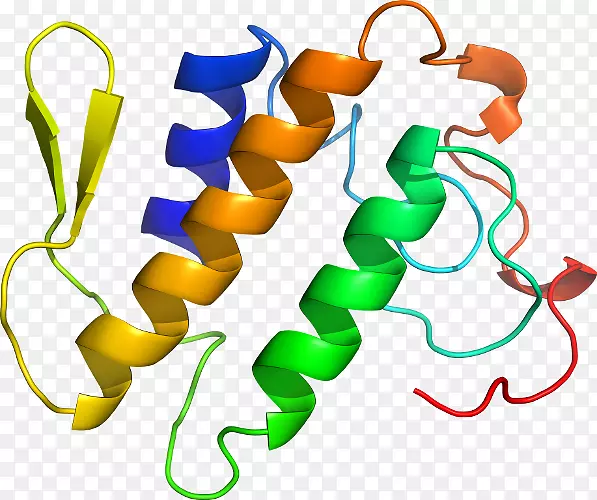 磷脂酶a2剪贴画磷脂酶a2