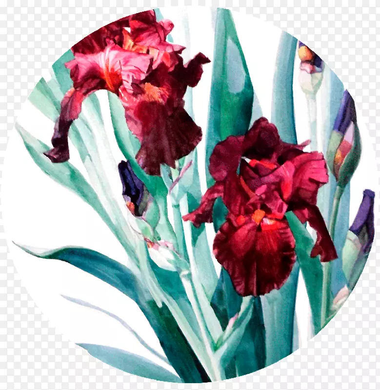 多纳泰罗水彩画艺术花卉设计圆形艺术品