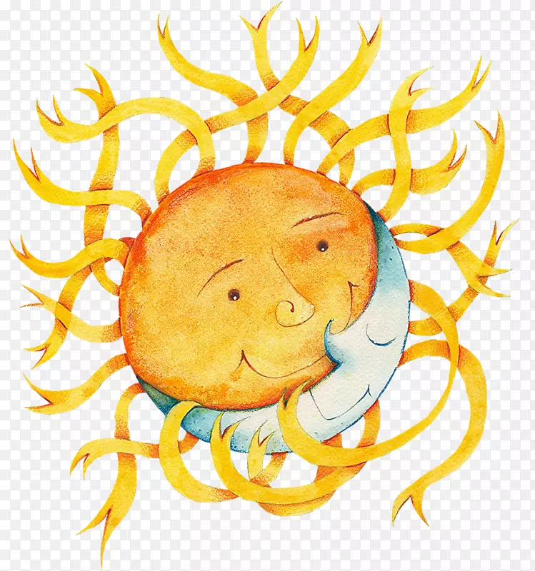 动物水果剪贴画-太阳插图