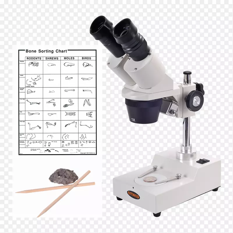 光学显微镜立体显微镜光学显微镜