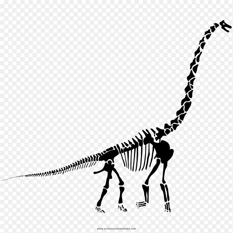 梁龙城-恐龙的最后一站-恐龙