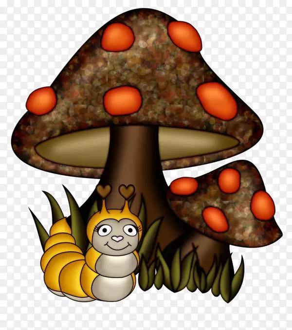 普通食用菌剪贴画-蘑菇