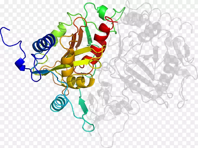 线点生物剪贴画线