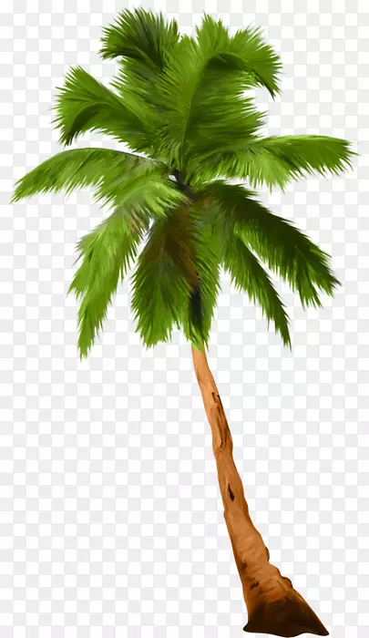 亚洲棕榈树