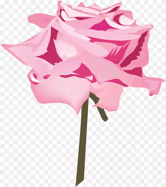 切花花卉设计玫瑰科植物茎玫瑰