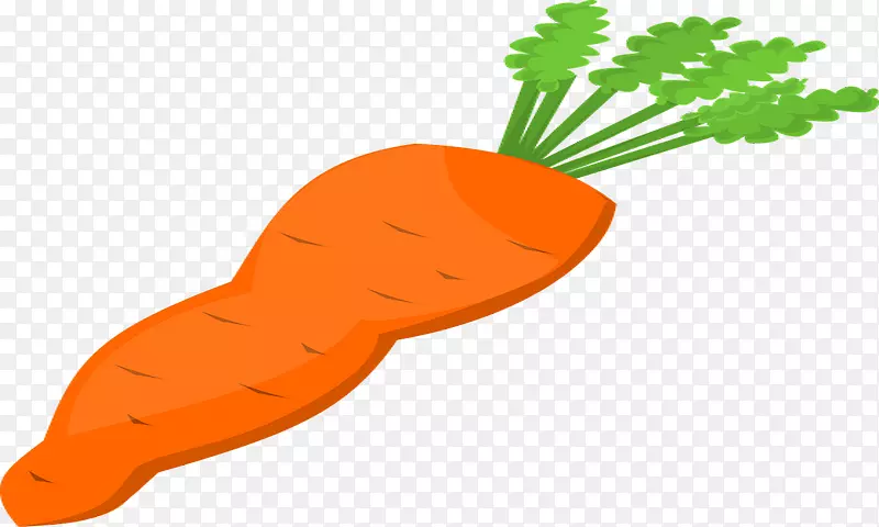 胡萝卜下载蔬菜夹艺术-芝士球