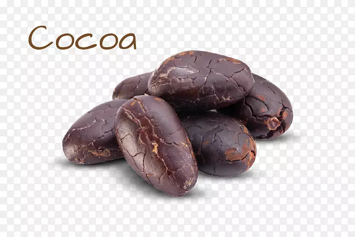 可可豆巧克力可可树配料牙买加蓝山咖啡可可豆