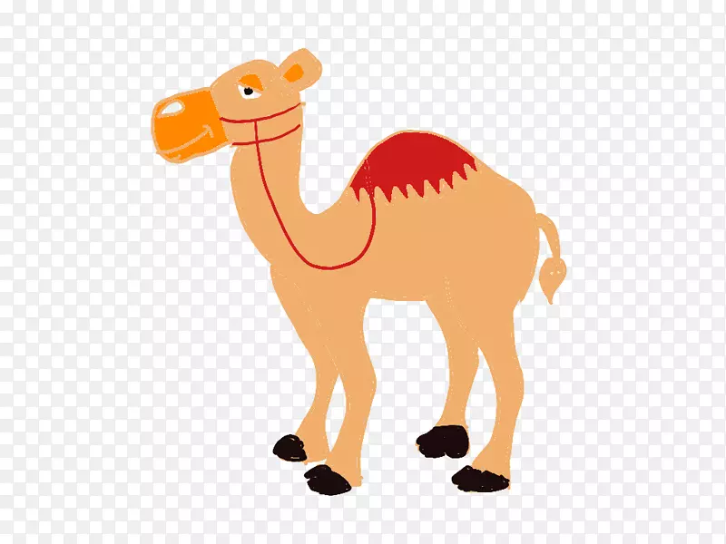 骆驼鼻子陆生动物剪贴画-卡佩罗