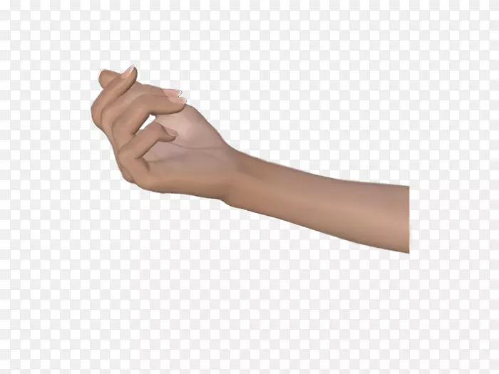 拇指手模型人体解剖手腕-lb