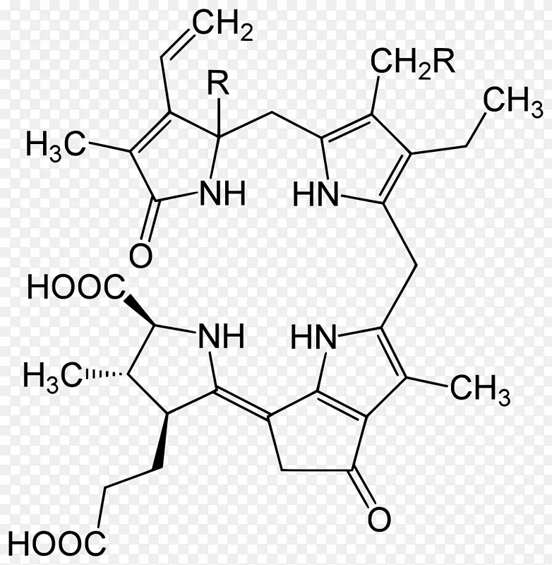 荧光素酶-萤火虫