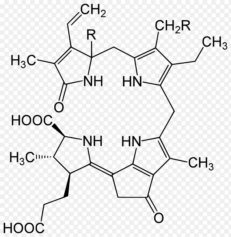 萤光素甲藻酸四吡咯质体甲藻荧光素酶