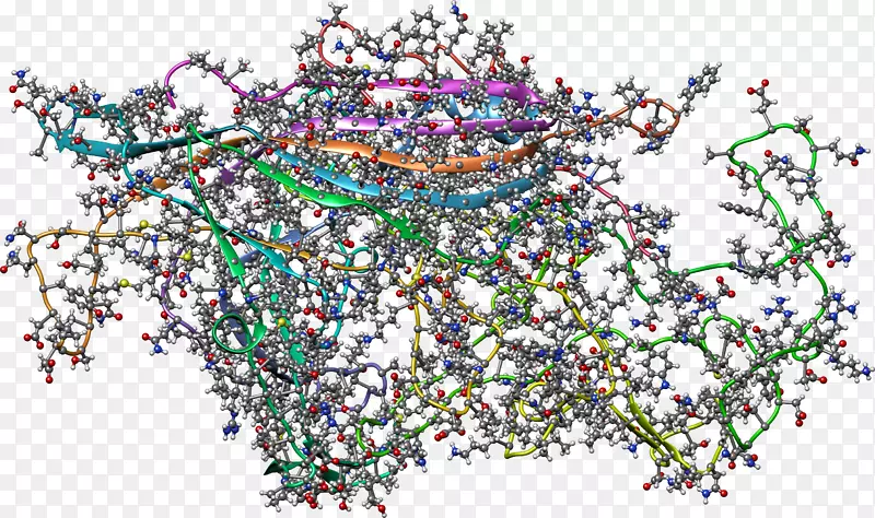 光系统Ⅰ光合作用蓝绿细菌蛋白质三聚体